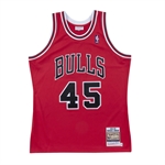 Mitchell & Ness NBA Authentic Jersey - 1994-95 / Michael Jordan