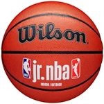Wilson JR. NBA FAM Logo (6) - Indoor/Outdoor