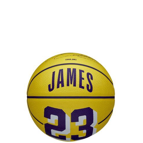 Wilson NBA Player Icon Basketball (3) - LeBron James